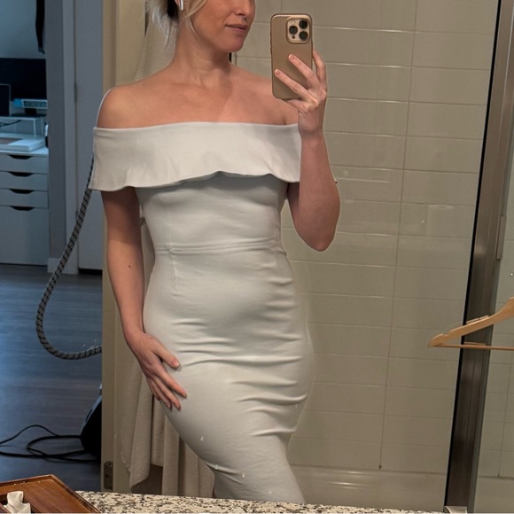 Babaton Dresses & Skirts - Aritzia Babaton Ruslan Dress